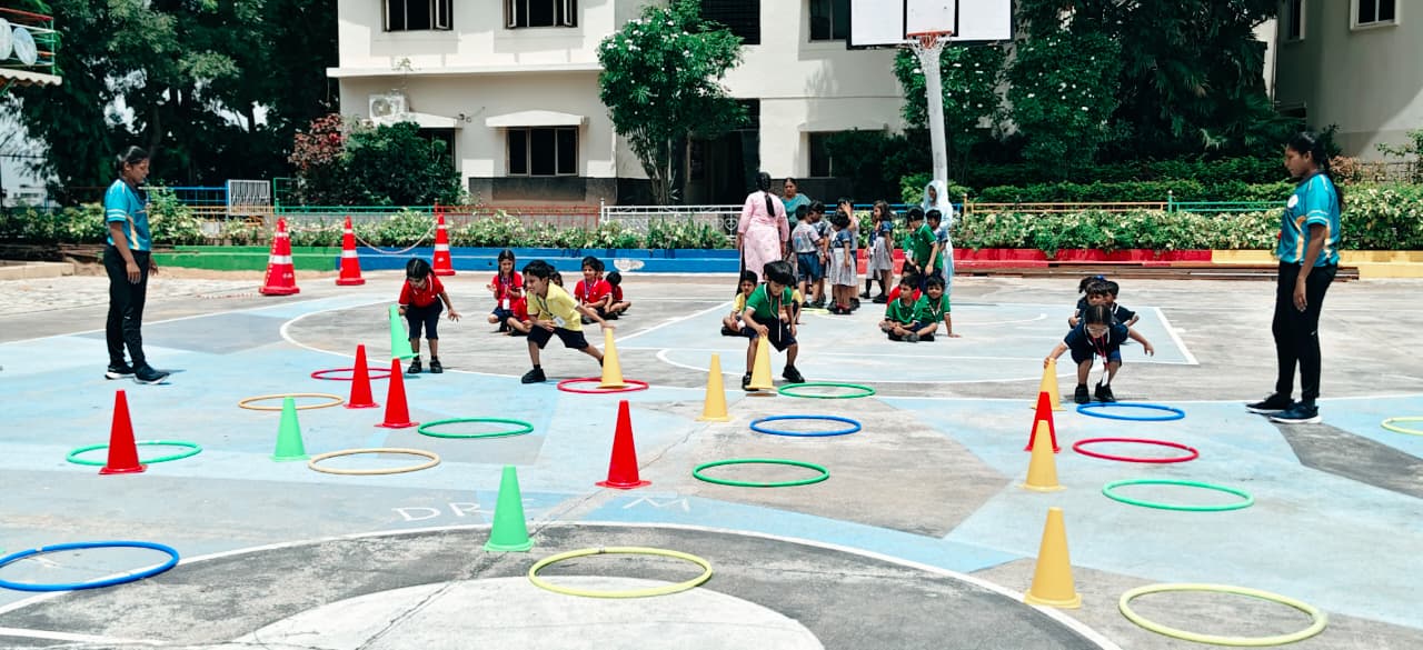 Cone Planting (2)
