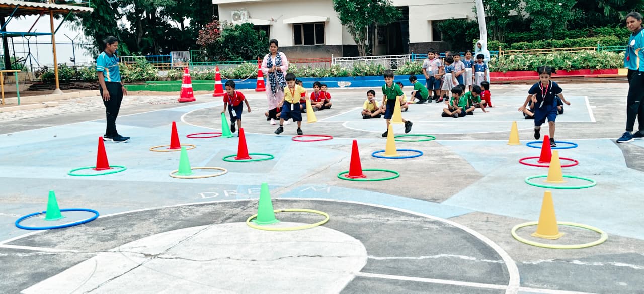 Cone Planting (5)